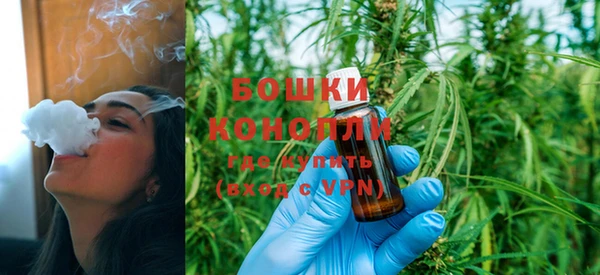 соль ск Верхний Тагил